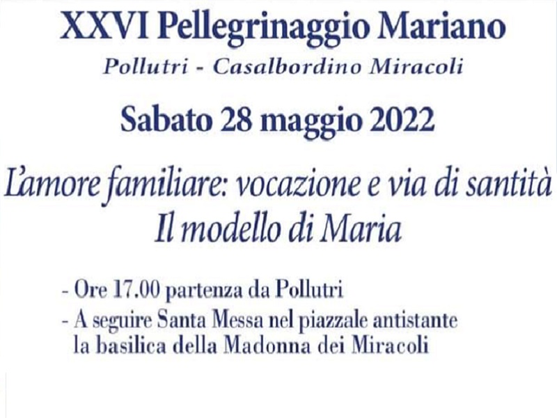 pellegrinaggiopollutrimiracoli22copertina.jpg