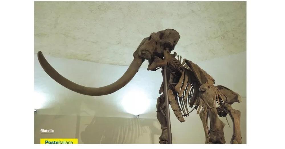 https://www.valsinello.net/archivi/immagini/2024/P/postemammut.jpg